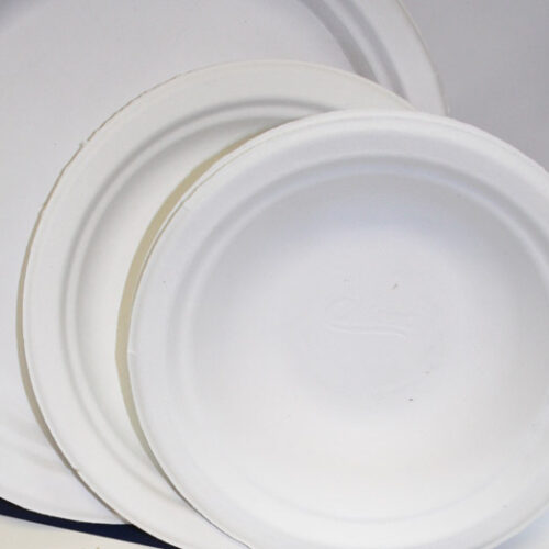 Paper Plates & Bowls