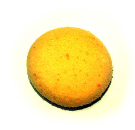 Round Sponge